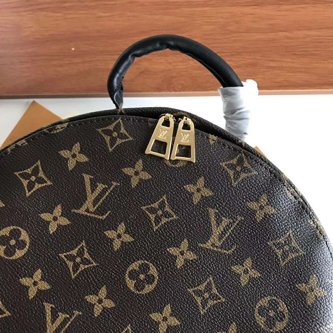 Louis Vuitton LV Unisex Palm Springs MM Backpack in Monogram Coated Canvas-Brown
